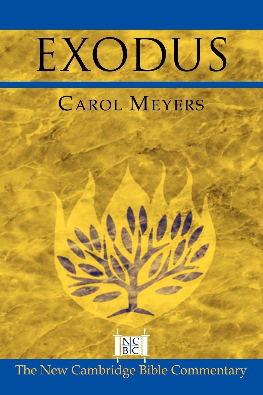 Cover: 9780521002912 | Exodus | Carol L. Meyers | Taschenbuch | Paperback | Englisch | 2010