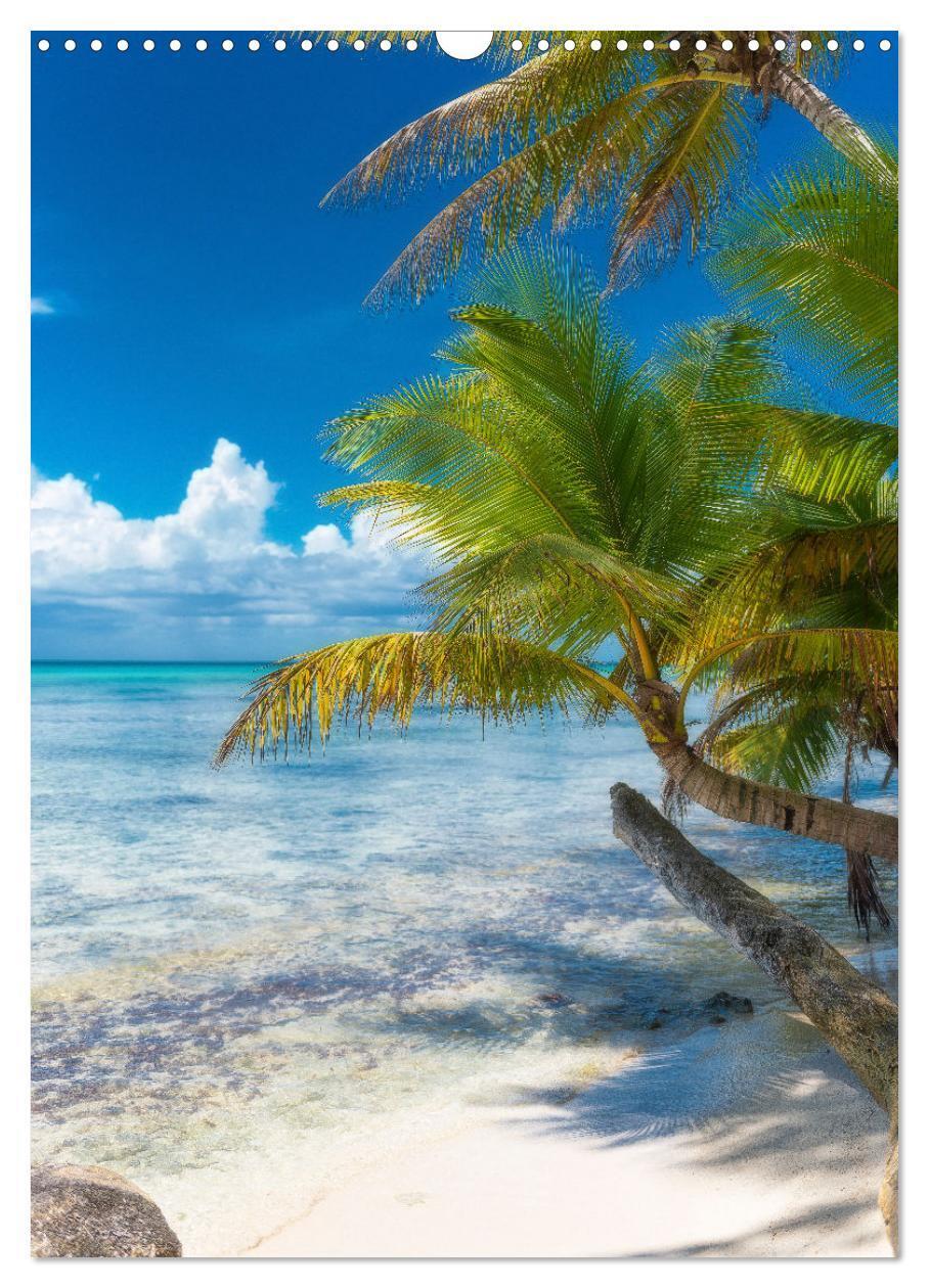 Bild: 9783435916153 | Karibischer Traum Isla Saona (Wandkalender 2025 DIN A3 hoch),...