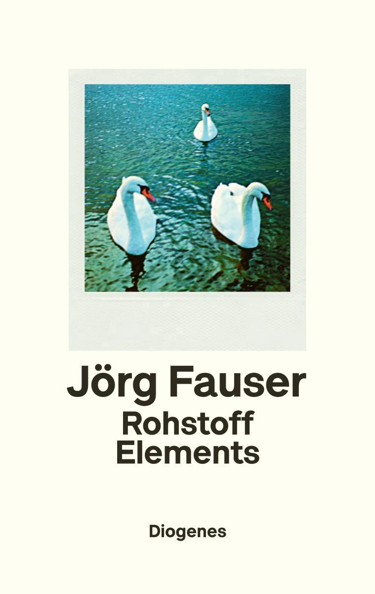 Cover: 9783257070354 | Rohstoff Elements | Jörg Fauser | Buch | 320 S. | Deutsch | 2019