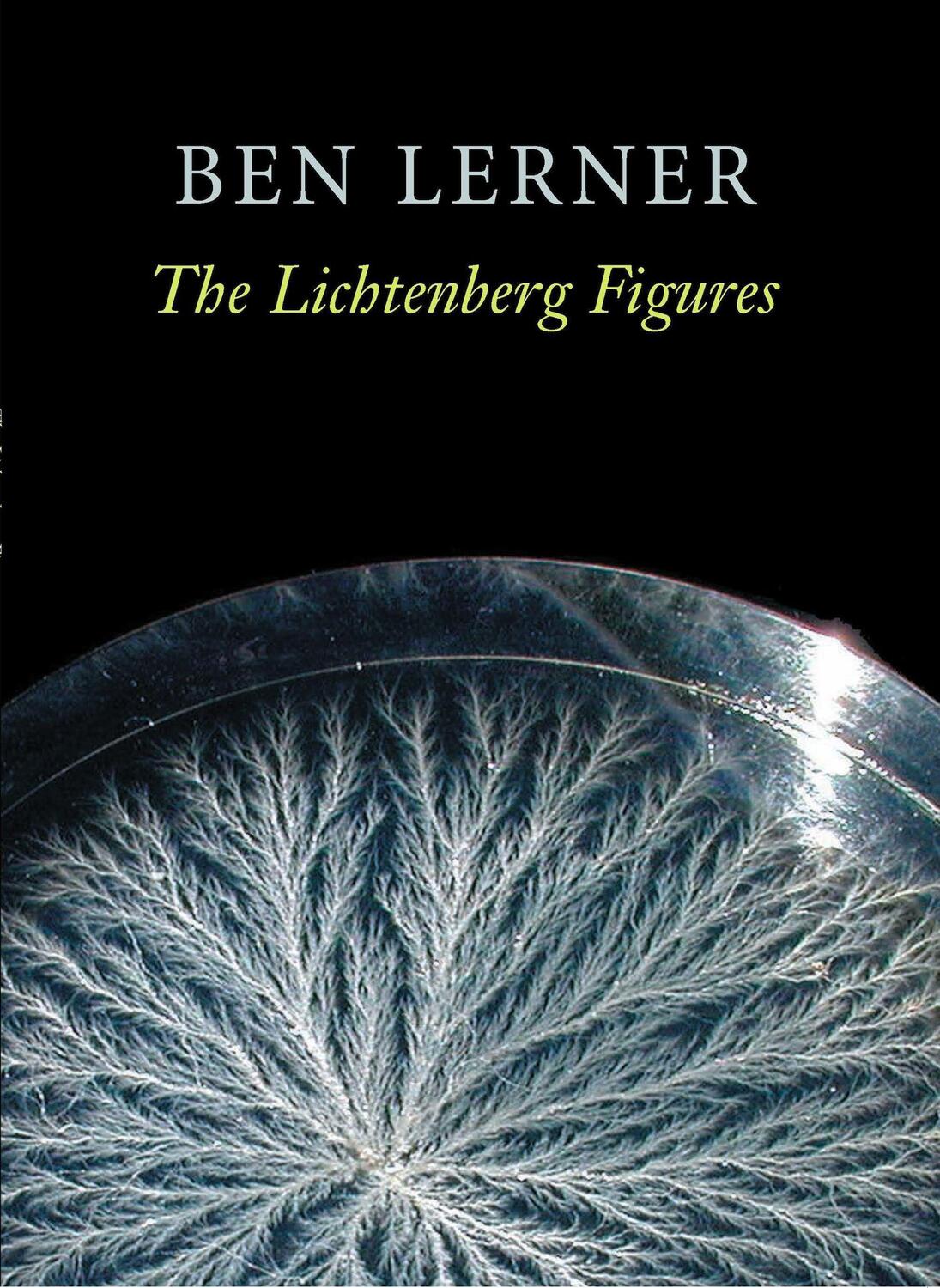 Cover: 9781556592119 | The Lichtenberg Figures | Ben Lerner | Taschenbuch | Englisch | 2004