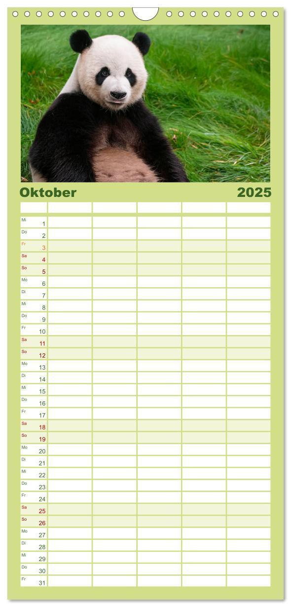 Bild: 9783457116166 | Familienplaner 2025 - Niedlicher Panda mit 5 Spalten (Wandkalender,...