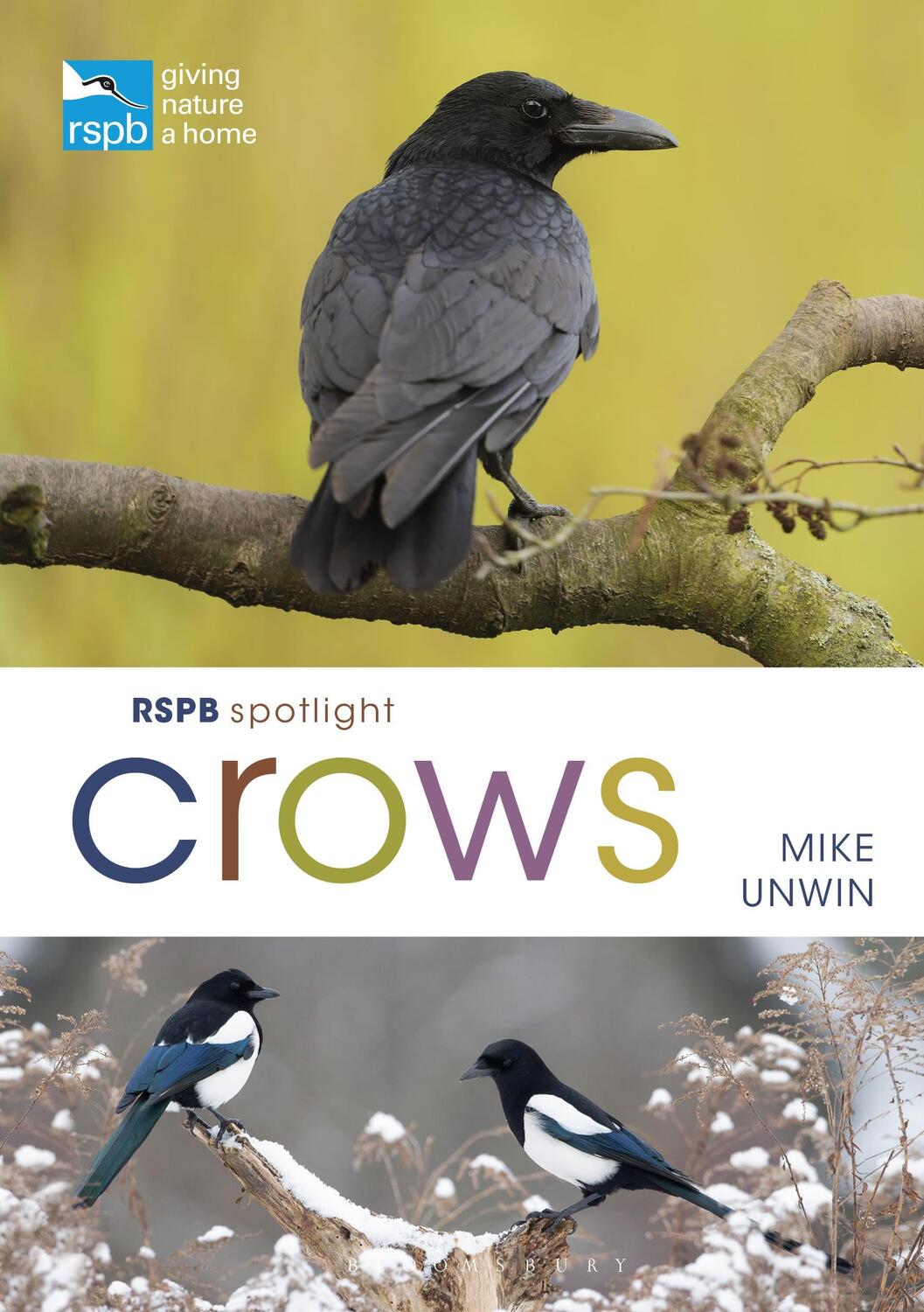 Cover: 9781472971777 | RSPB Spotlight Crows | Mike Unwin | Taschenbuch | RSPB | Englisch