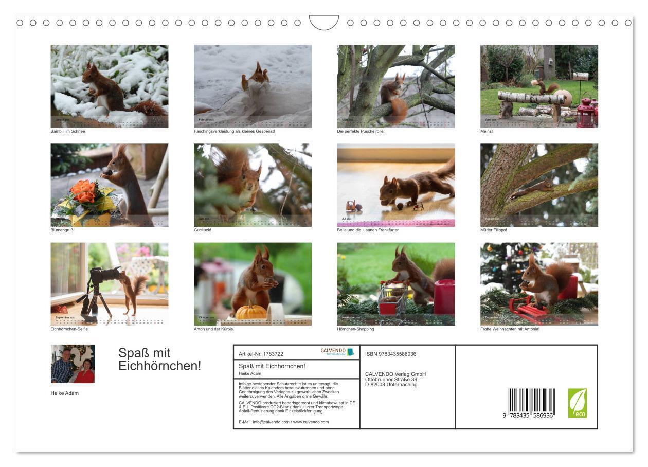 Bild: 9783435586936 | Spaß mit Eichhörnchen! (Wandkalender 2025 DIN A3 quer), CALVENDO...