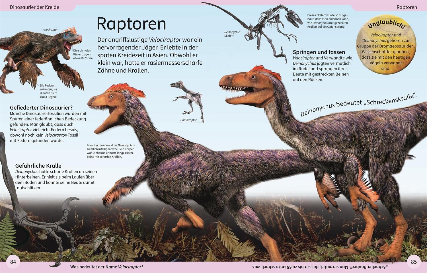 Bild: 9783831044191 | DK Kinderlexikon. Dinosaurier | Caroline Bingham | Buch | 136 S.