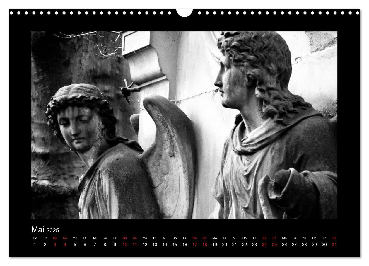 Bild: 9783435751327 | Die Engel von Melaten (Wandkalender 2025 DIN A3 quer), CALVENDO...