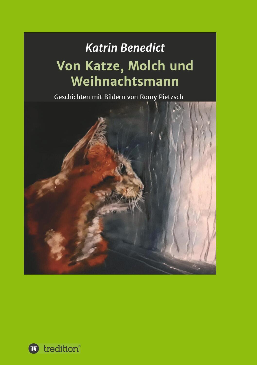 Cover: 9783749720408 | Von Katze, Molch und Weihnachtsmann | Katrin Benedict | Taschenbuch