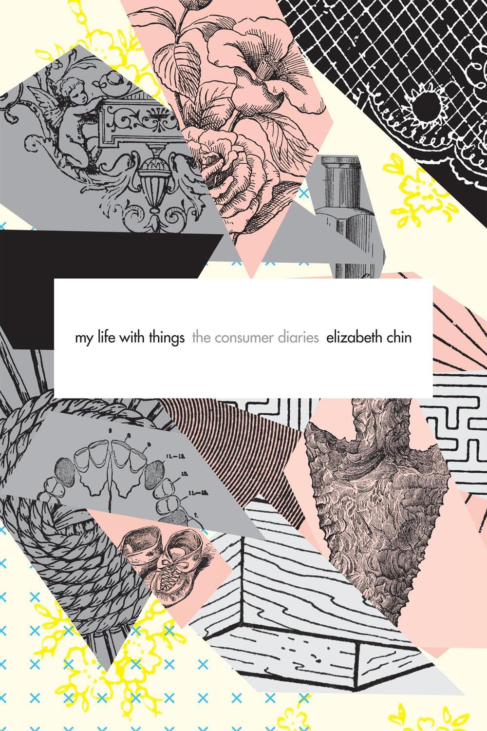 Cover: 9780822361367 | My Life with Things: The Consumer Diaries | Elizabeth Chin | Buch