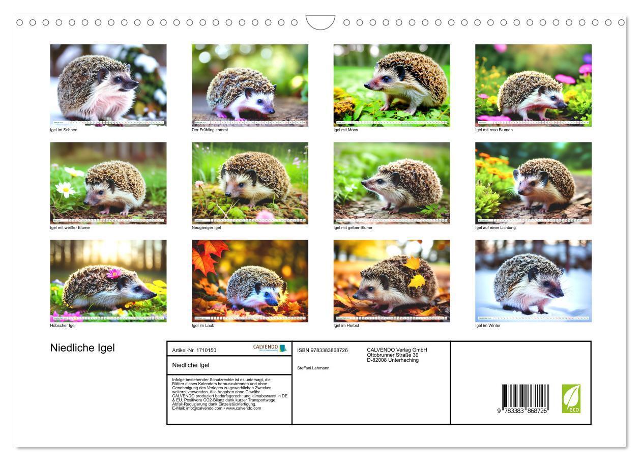 Bild: 9783383868726 | Niedliche Igel (Wandkalender 2025 DIN A3 quer), CALVENDO...