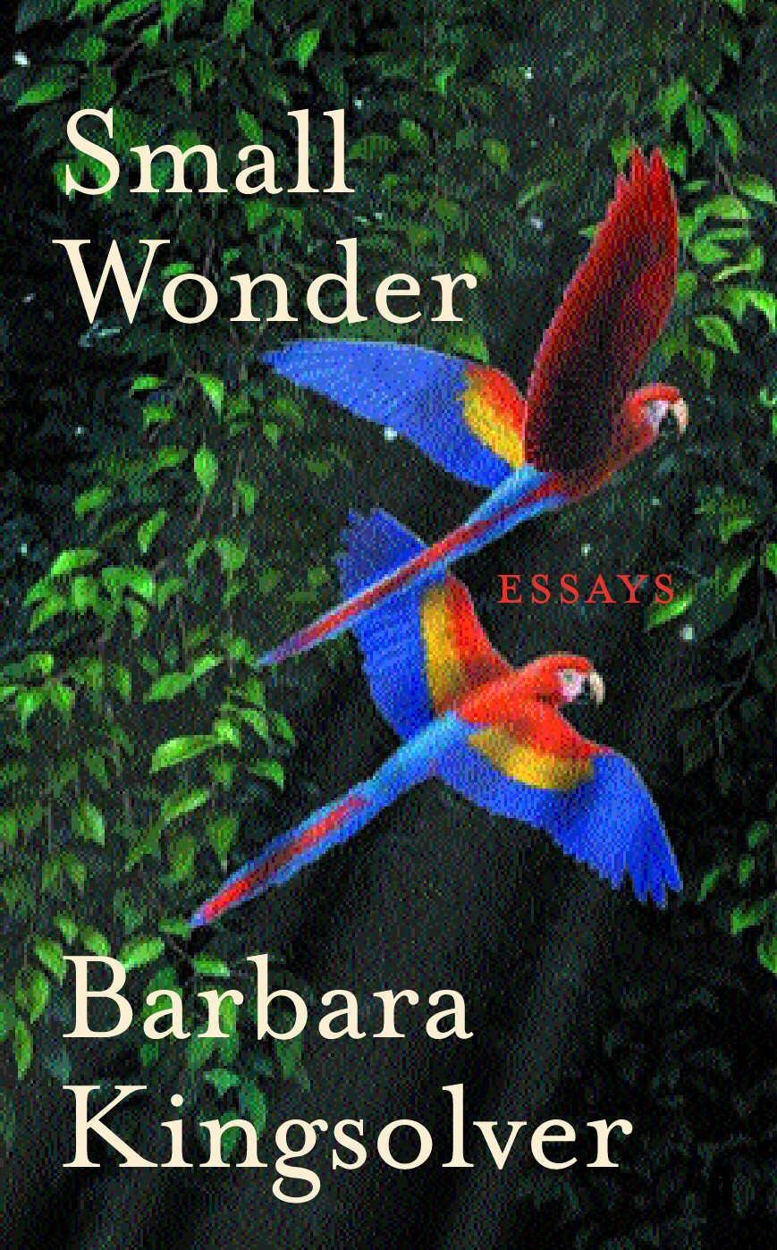 Cover: 9780571215775 | Small Wonder | Barbara Kingsolver | Taschenbuch | 288 S. | Englisch