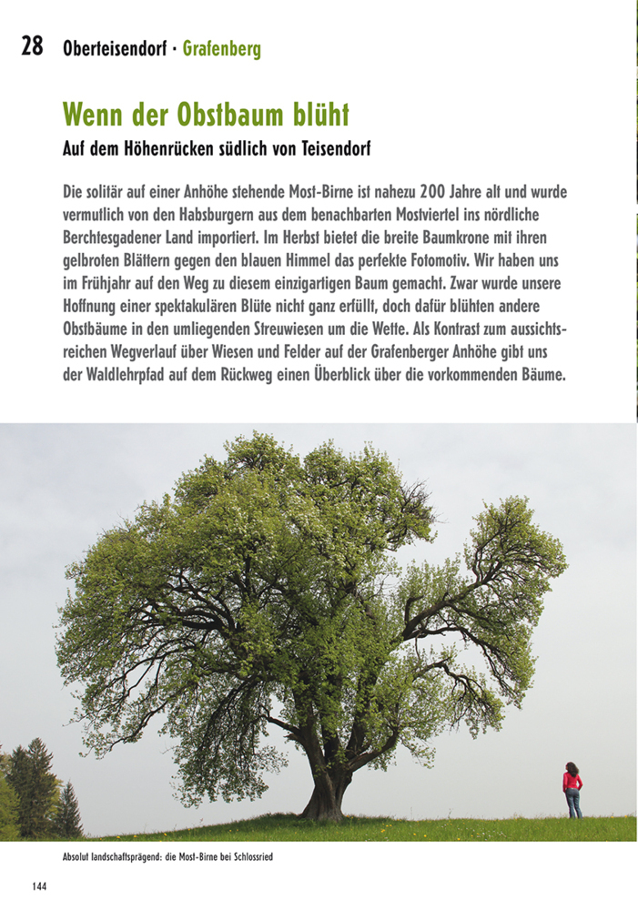Bild: 9783981460575 | Unterwegs zu Bruder Baum | Michael Reimer | Taschenbuch | 2014