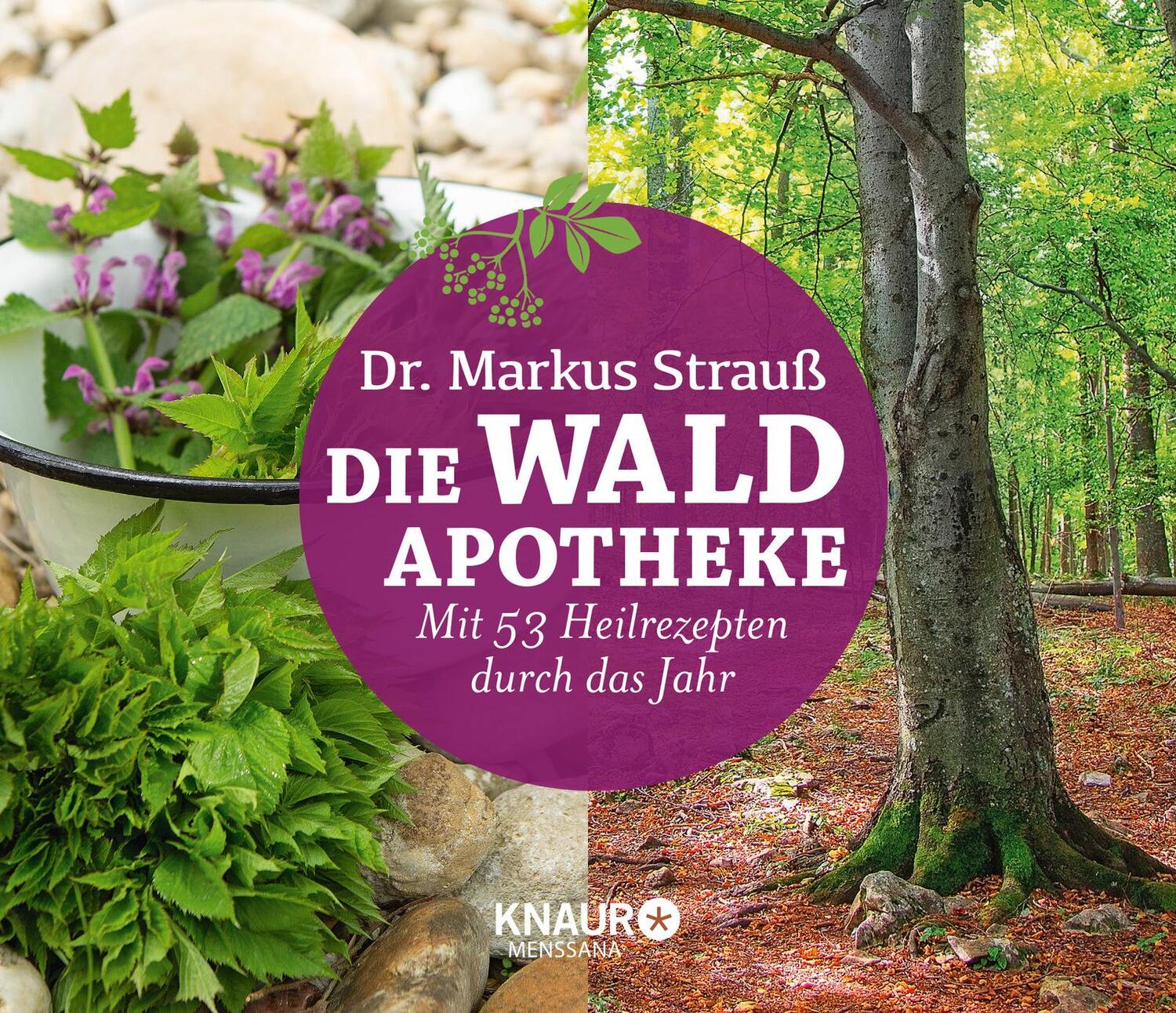 Cover: 9783426658581 | Die Wald-Apotheke | Mit 53 Heilrezepten durch das Jahr | Markus Strauß