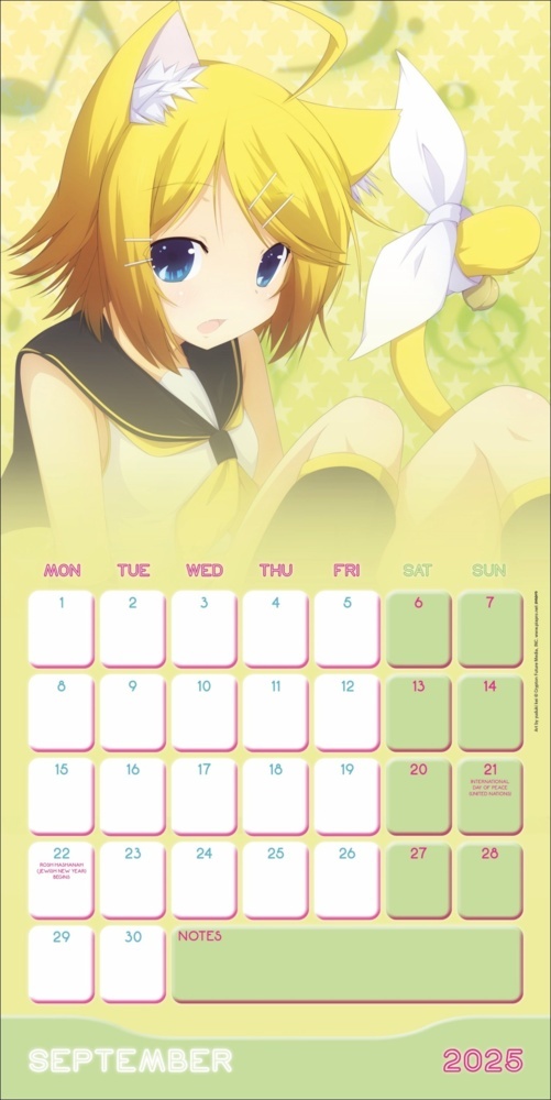 Bild: 9783840196850 | Hatsune Miku Broschurkalender 2025 | Kalender | 28 S. | Englisch