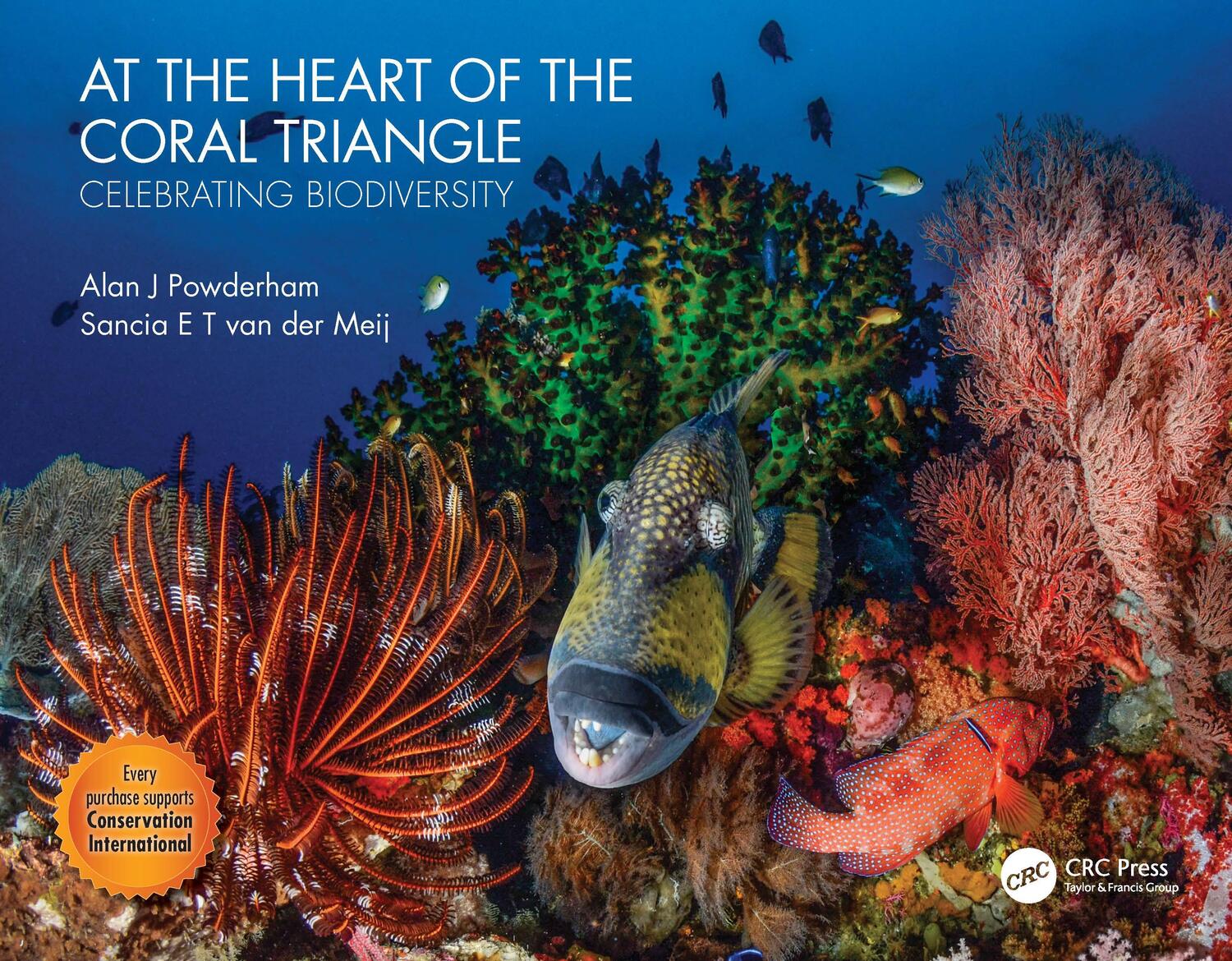 Cover: 9780367428167 | At the Heart of the Coral Triangle | Celebrating Biodiversity | Buch