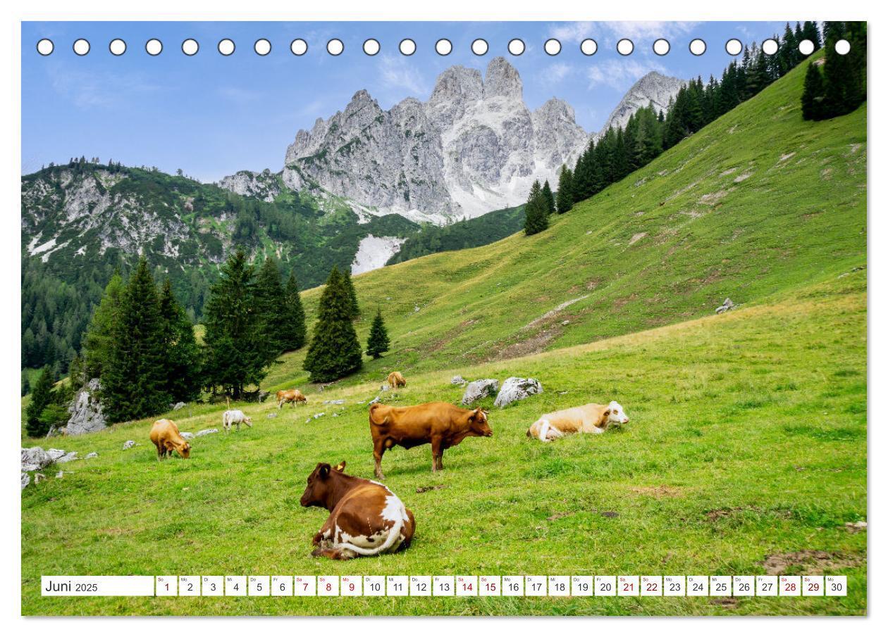 Bild: 9783435043446 | Das wunderbare Ramsau am Fuße des Dachsteins (Tischkalender 2025...