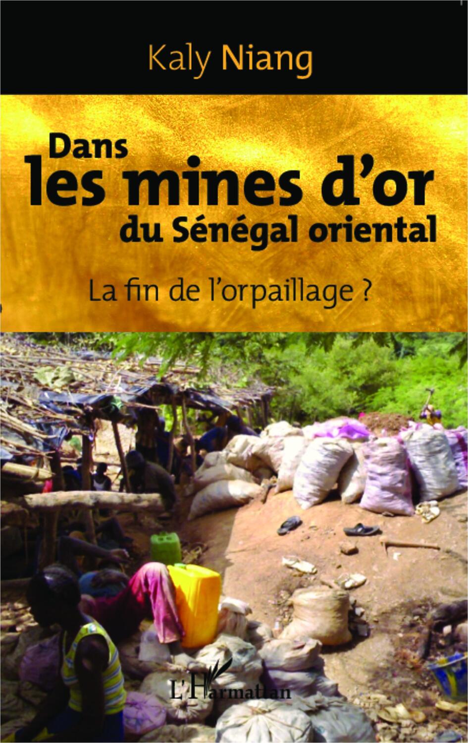 Cover: 9782296998599 | Dans les mines d'or du Sénégal oriental | La fin de l'orpaillage ?