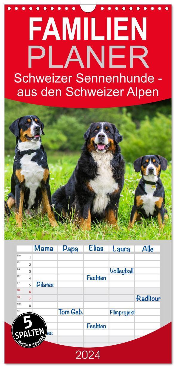 Cover: 9783383081460 | Familienplaner 2024 - Schweizer Sennenhunde - aus den Schweizer...