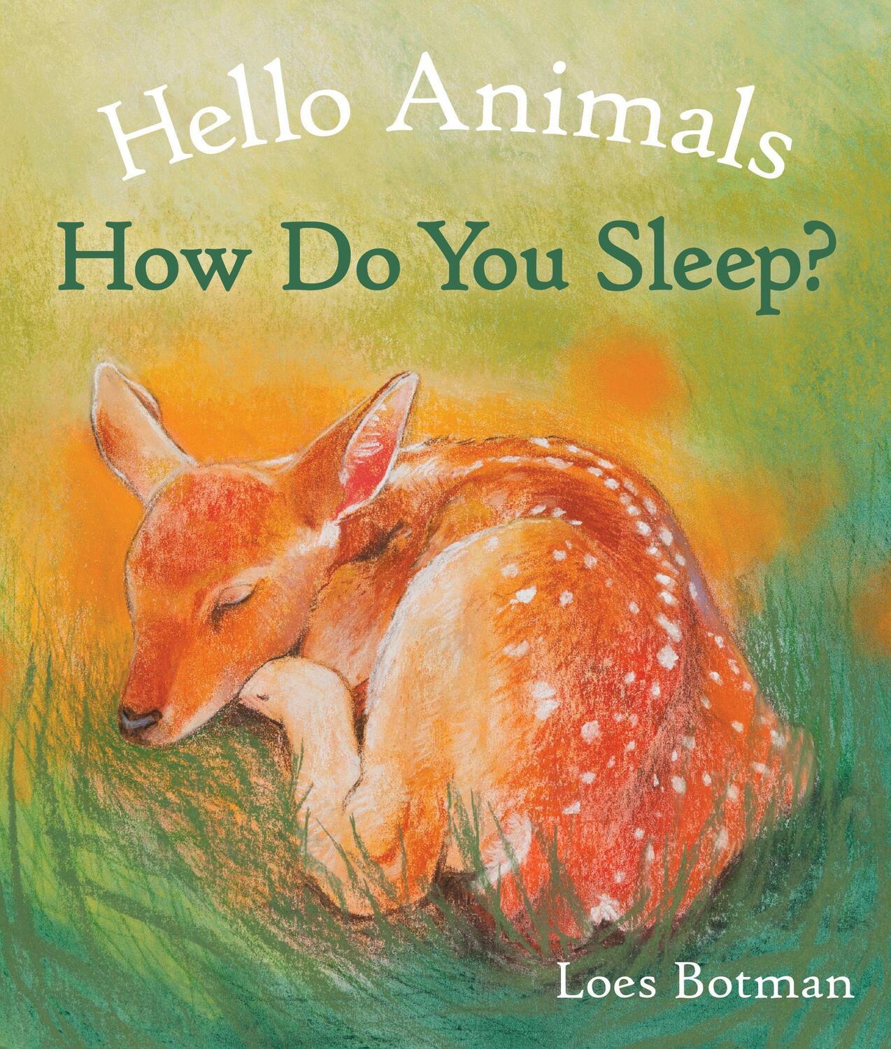 Cover: 9781782505518 | Hello Animals, How Do You Sleep? | Loes Botman | Buch | Hello Animals
