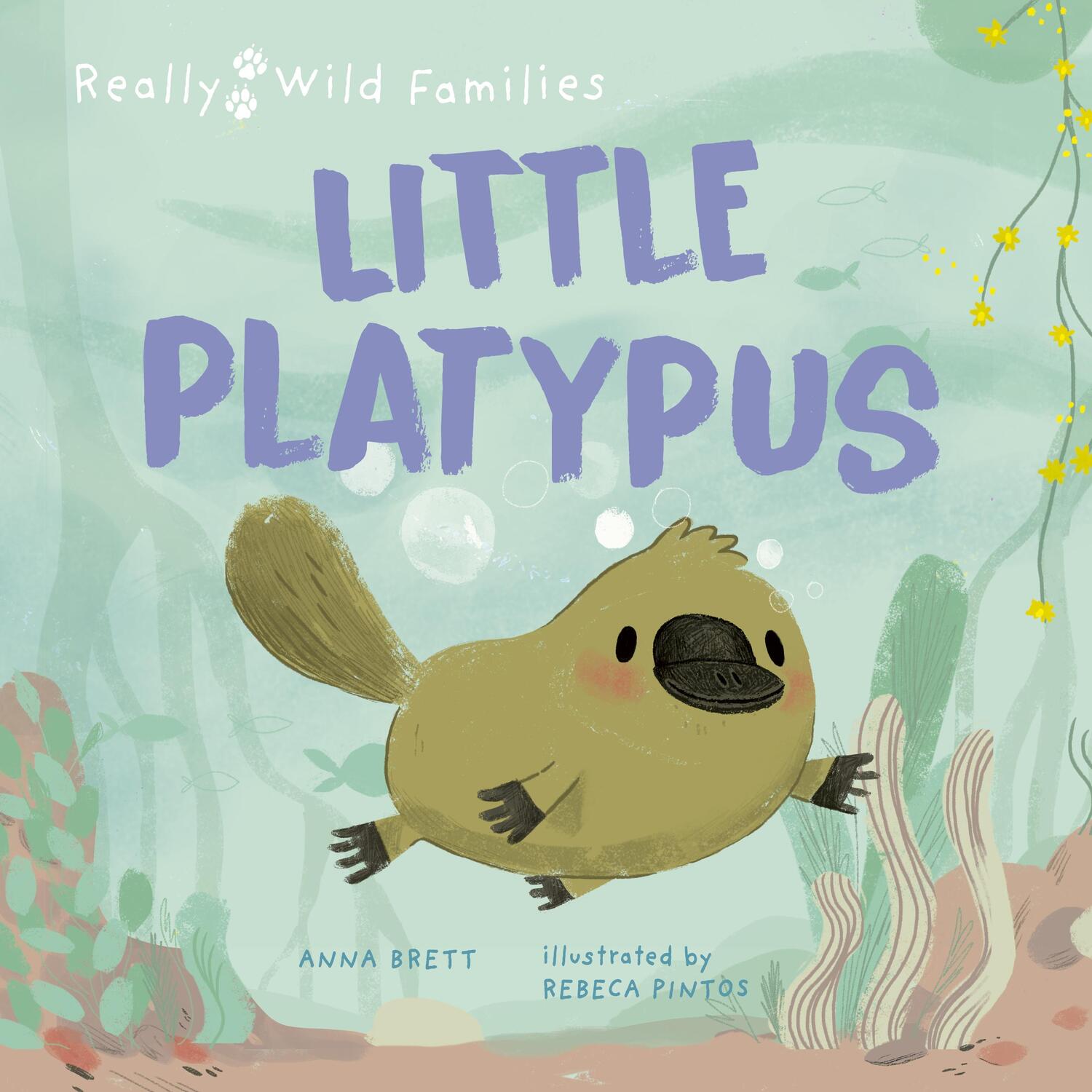 Cover: 9780711274174 | Little Platypus | A Day in the Life of a Platypus Puggle | Anna Brett