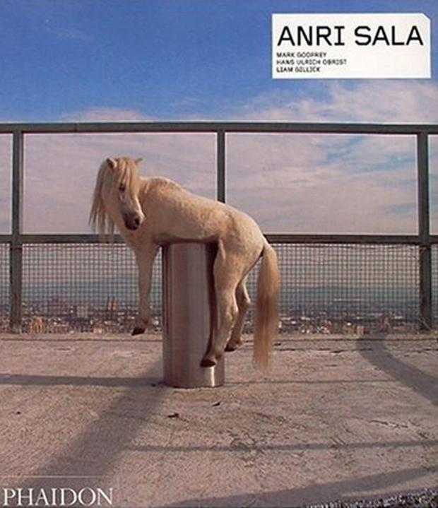 Cover: 9780714845272 | Anri Sala | Mark Godfrey (u. a.) | Taschenbuch | 160 S. | Englisch
