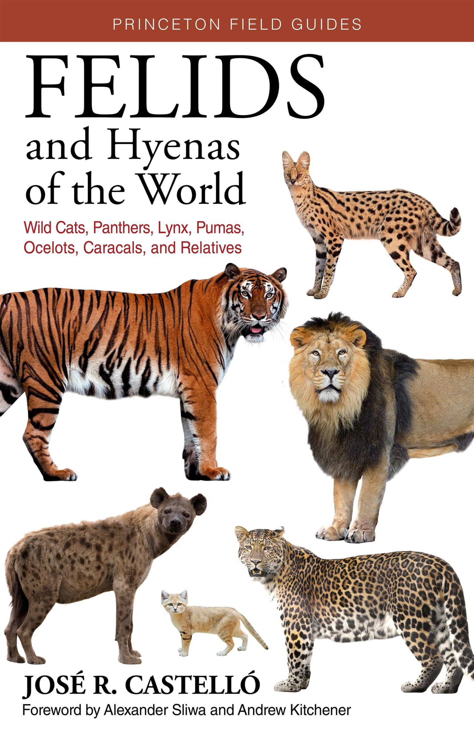 Cover: 9780691205977 | Felids and Hyenas of the World | José R Castelló | Taschenbuch | 2020