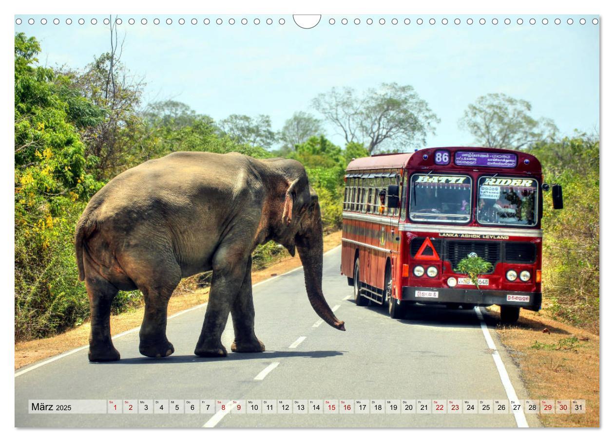 Bild: 9783435259090 | Sri Lanka - Tempel, Tee und Elefanten (Wandkalender 2025 DIN A3...