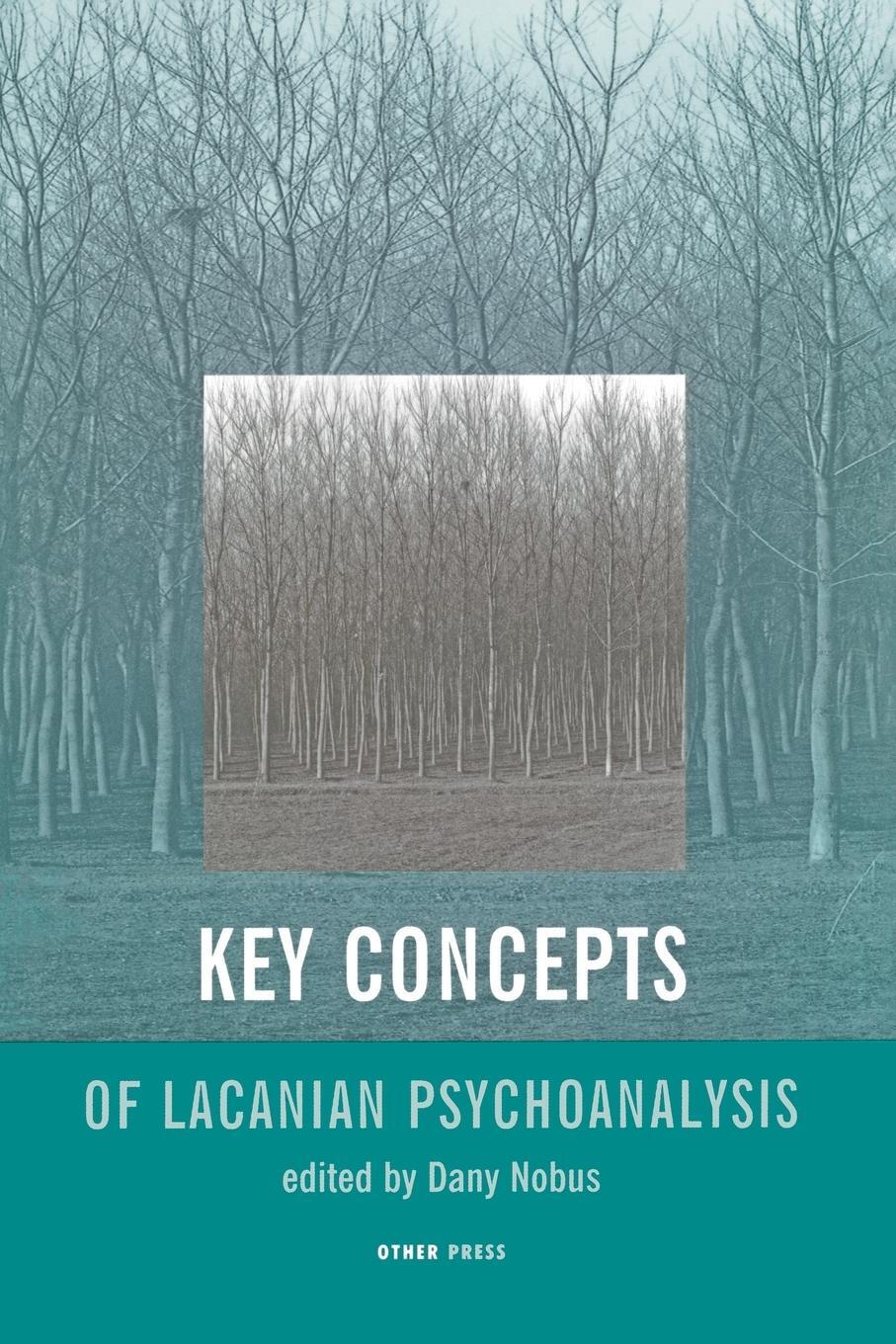 Cover: 9781892746146 | Key Concepts of Lacanian Psychoanalysis | Dany Nobus | Taschenbuch