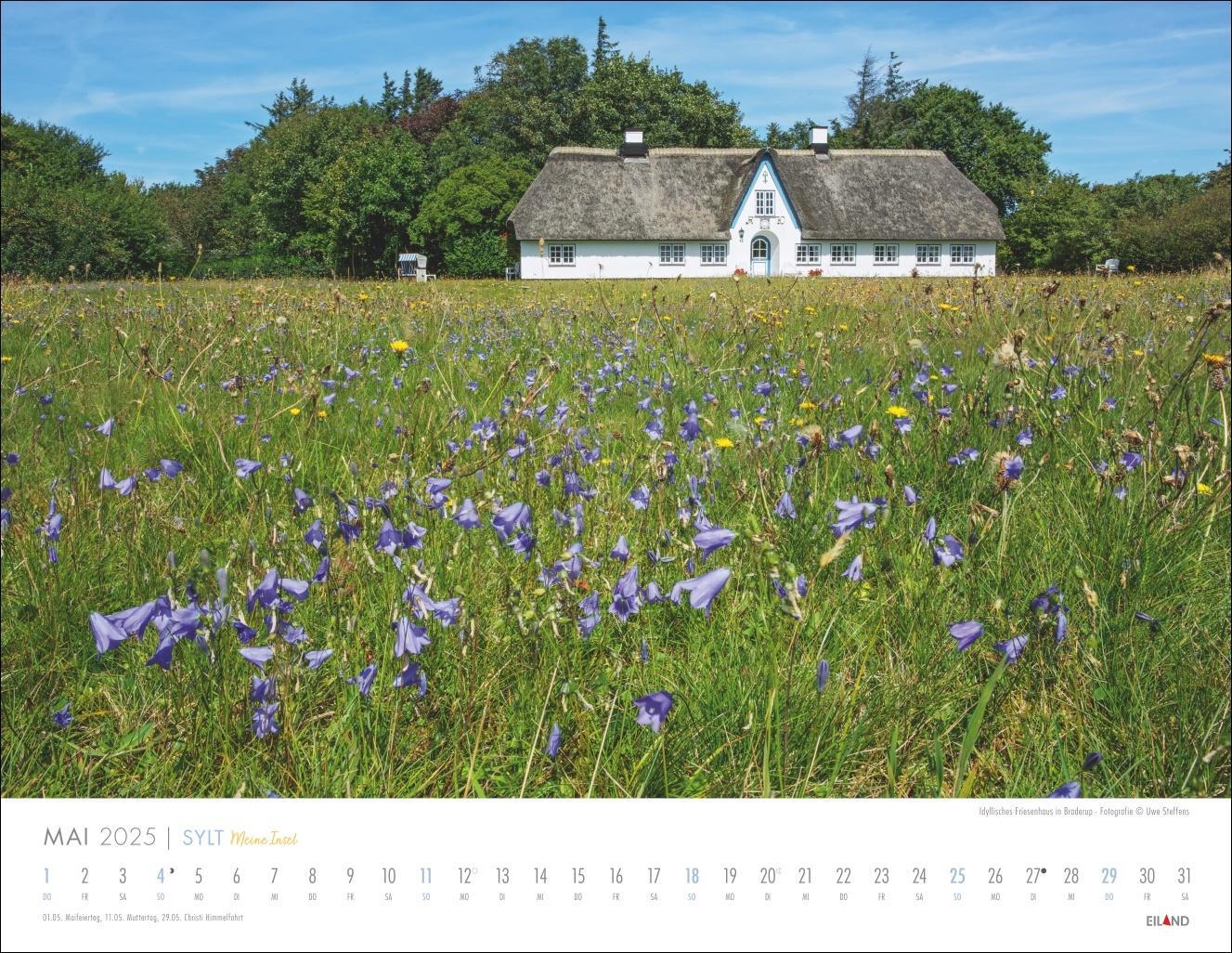 Bild: 9783964023537 | Sylt - Meine Insel Kalender 2025 | Eiland | Kalender | Spiralbindung