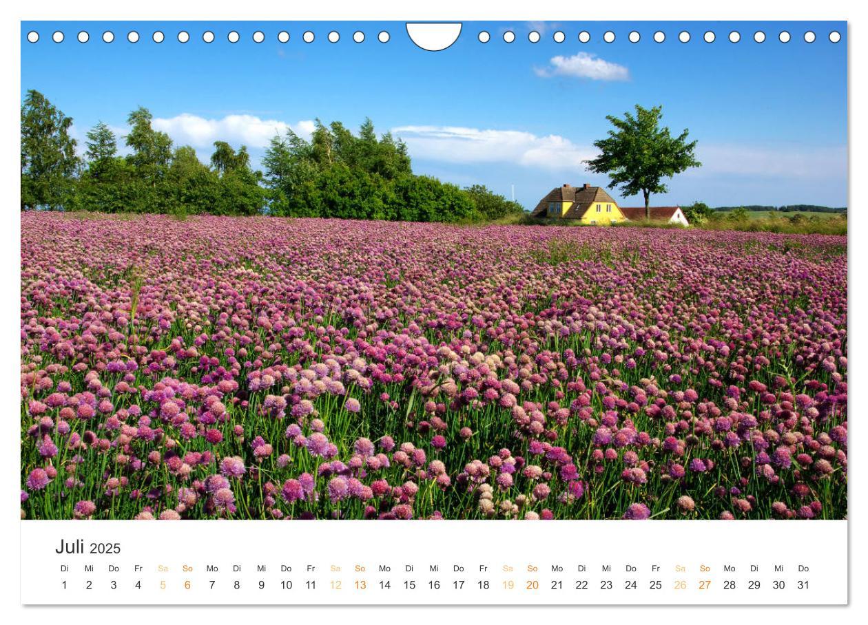 Bild: 9783435689668 | Bornholm Pur (Wandkalender 2025 DIN A4 quer), CALVENDO Monatskalender