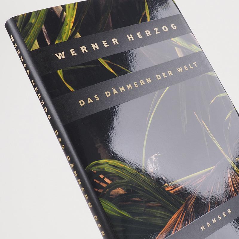 Bild: 9783446270763 | Das Dämmern der Welt | Werner Herzog | Buch | 128 S. | Deutsch | 2021