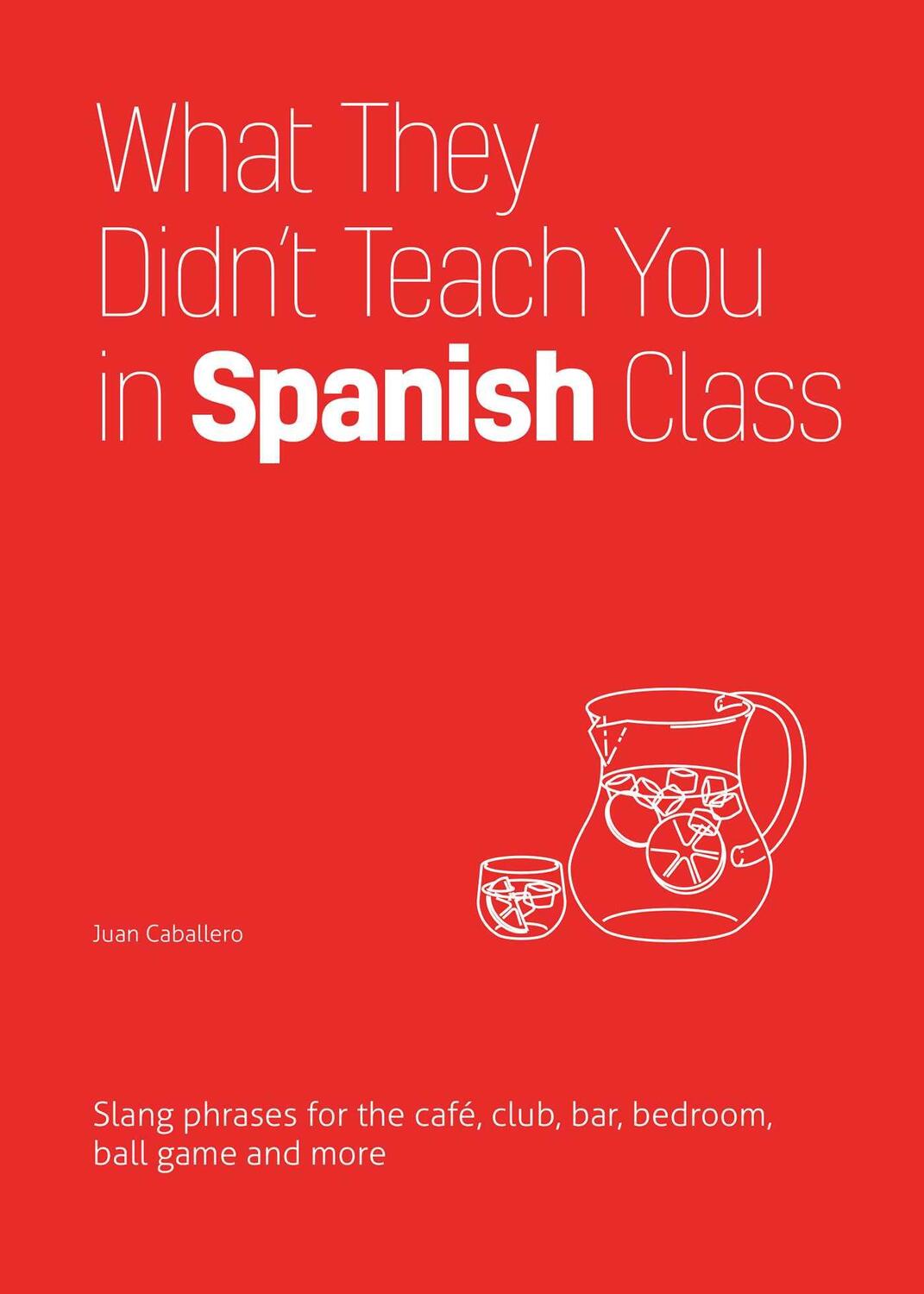 Cover: 9781646043958 | What They Didn't Teach You In Spanish Class | Juan Caballero | Buch
