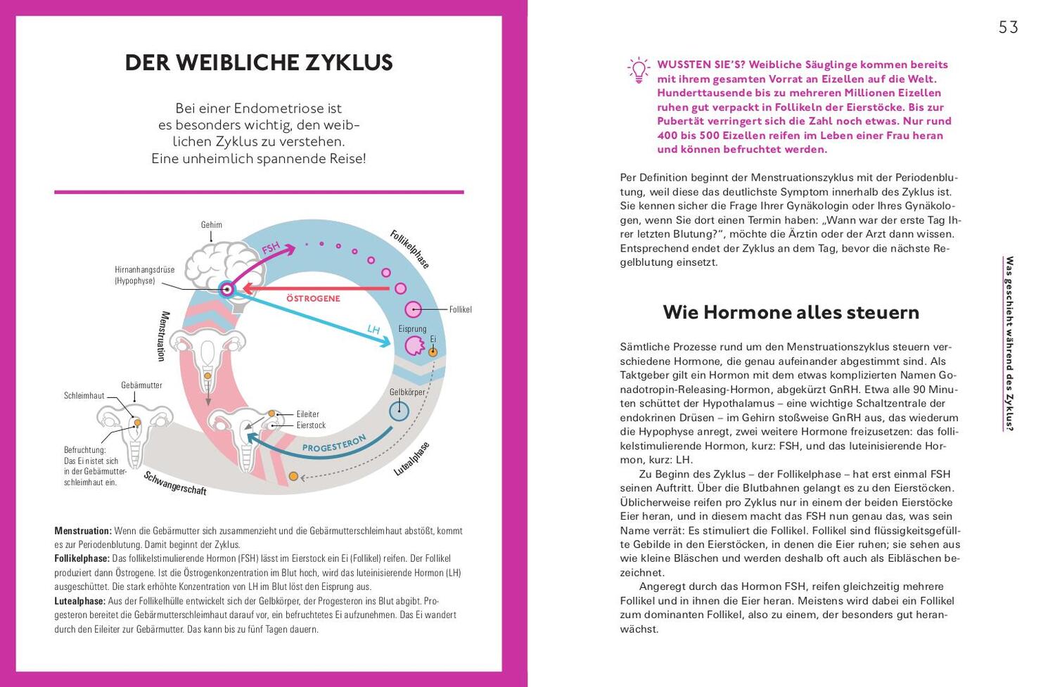 Bild: 9783747107737 | Let's talk about Endometriose | Stefanie Burghaus (u. a.) | Buch