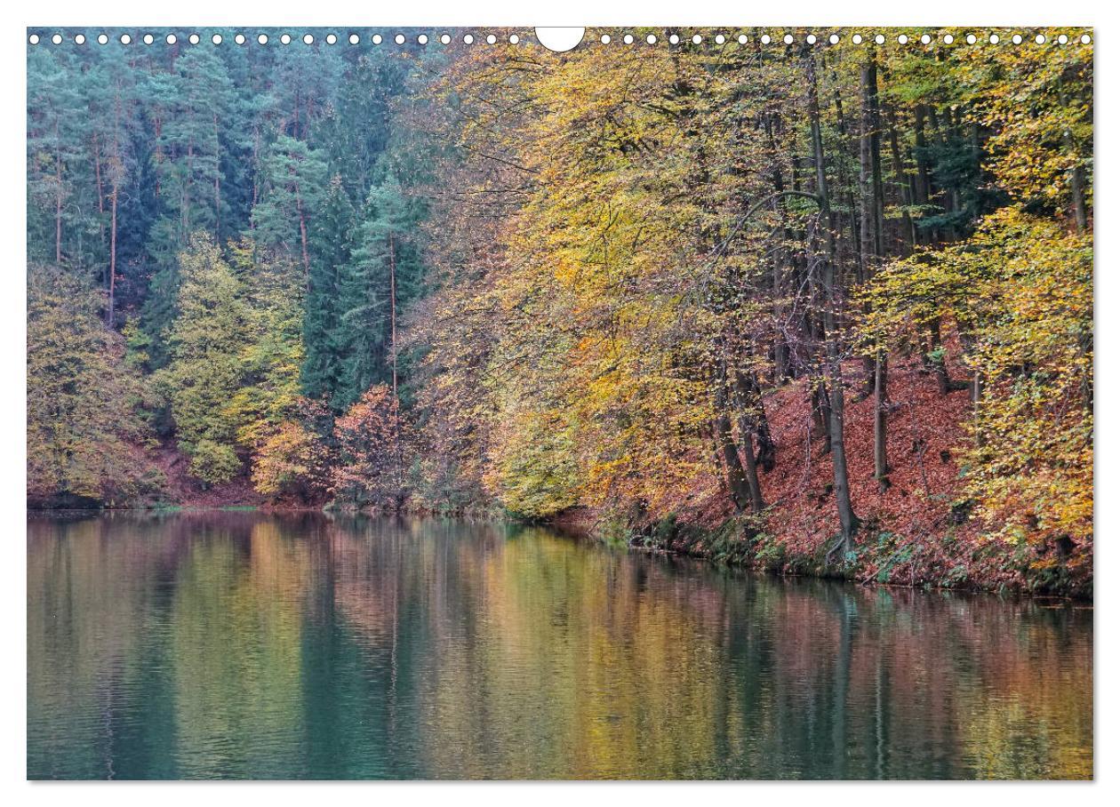 Bild: 9783435269891 | Wald - bezaubernde Wälder (Wandkalender 2025 DIN A3 quer), CALVENDO...