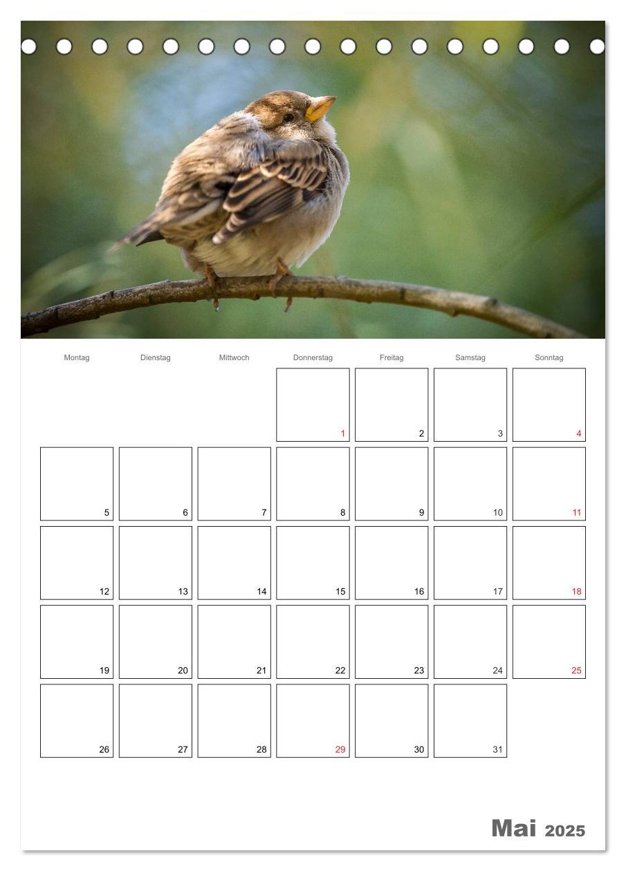 Bild: 9783457007730 | Vögel im heimischen Garten (Tischkalender 2025 DIN A5 hoch),...