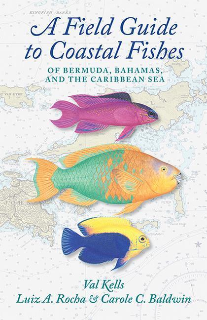 Cover: 9781421444680 | A Field Guide to Coastal Fishes of Bermuda, Bahamas, and the...