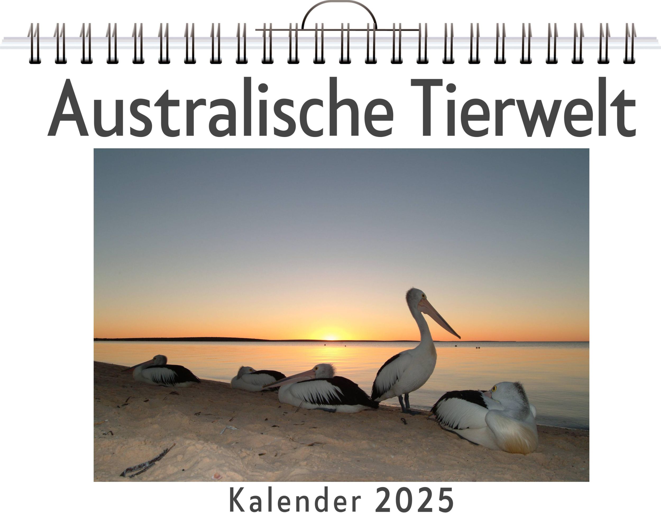 Cover: 9783759134578 | Australische Tierwelt | Amelia Günther | Kalender | Kalender | 14 S.