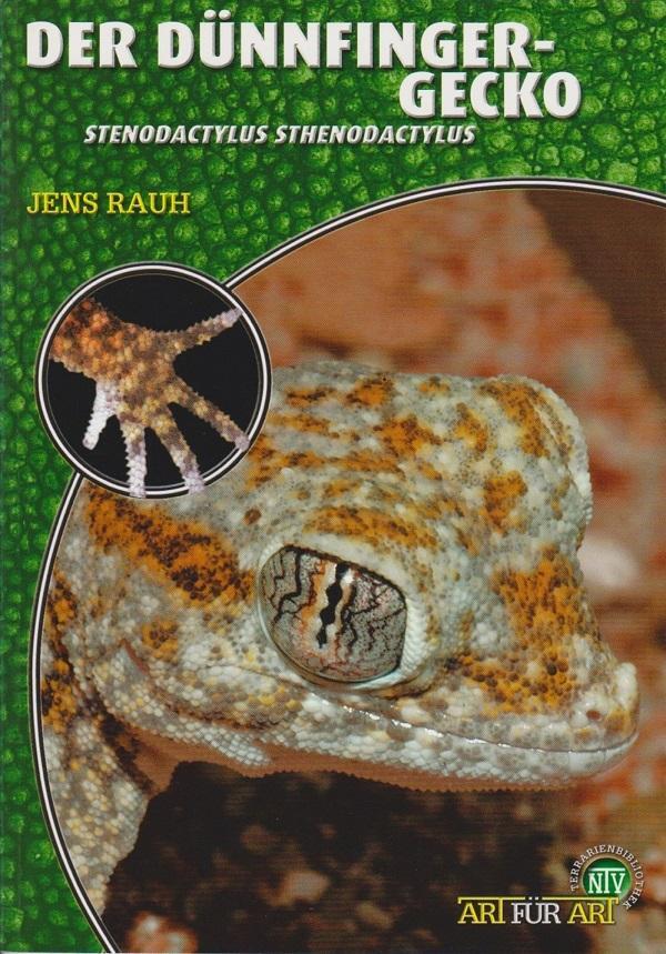 Cover: 9783866590328 | Der Dünnfingergecko | Stenodactylus stenodactylus | Jens Rauh | Buch