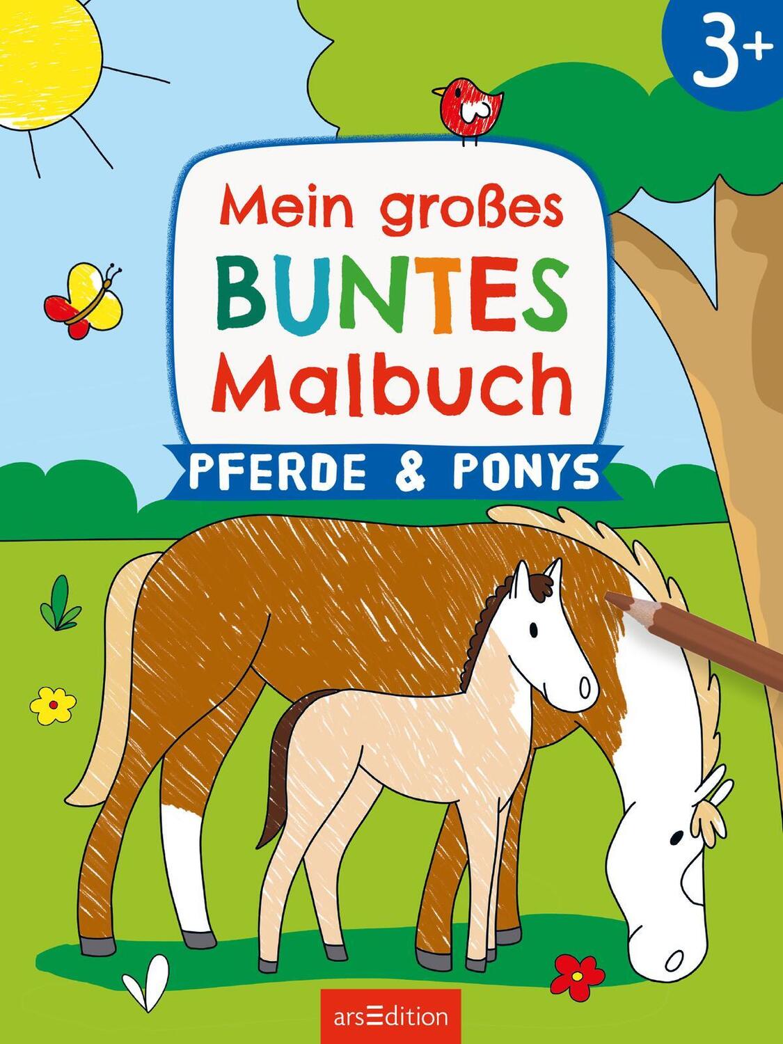 Bild: 9783845858005 | Mein großes buntes Malbuch - Pferde und Ponys | Ab 3 Jahren | Kraus