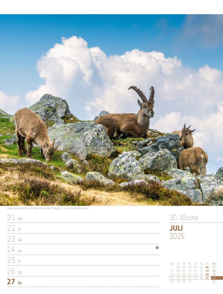 Bild: 9783838435275 | Abenteuer Deutschland - Naturparadiese Wochenplaner Kalender 2025