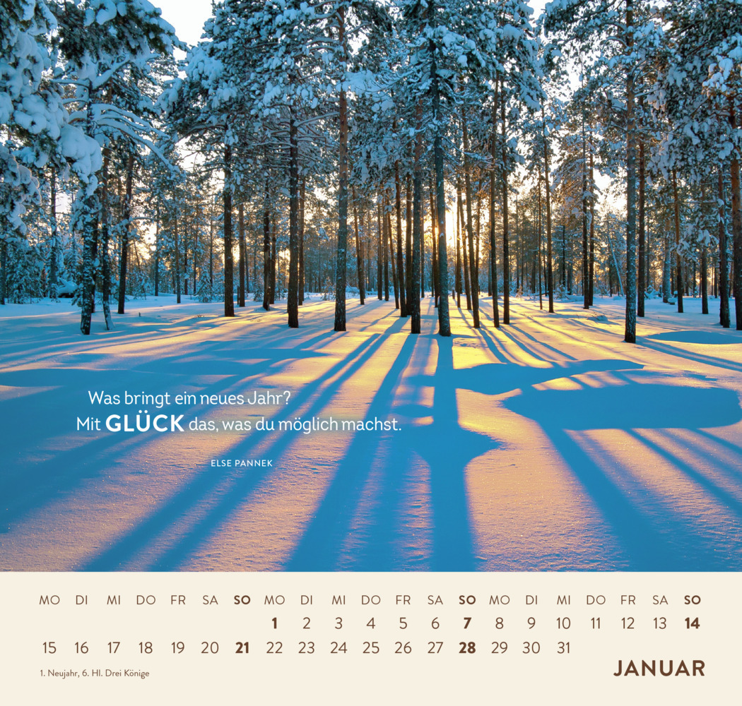 Bild: 4036442010594 | Wandkalender 2024: Lichtmomente in Wald und Natur | Groh Verlag | 2024
