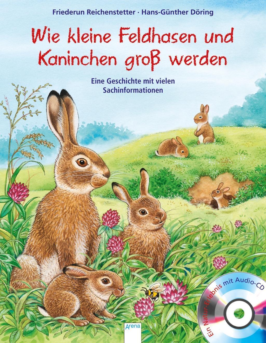 Cover: 9783401710891 | Wie kleine Feldhasen und Kaninchen groß werden | Reichenstetter | Buch