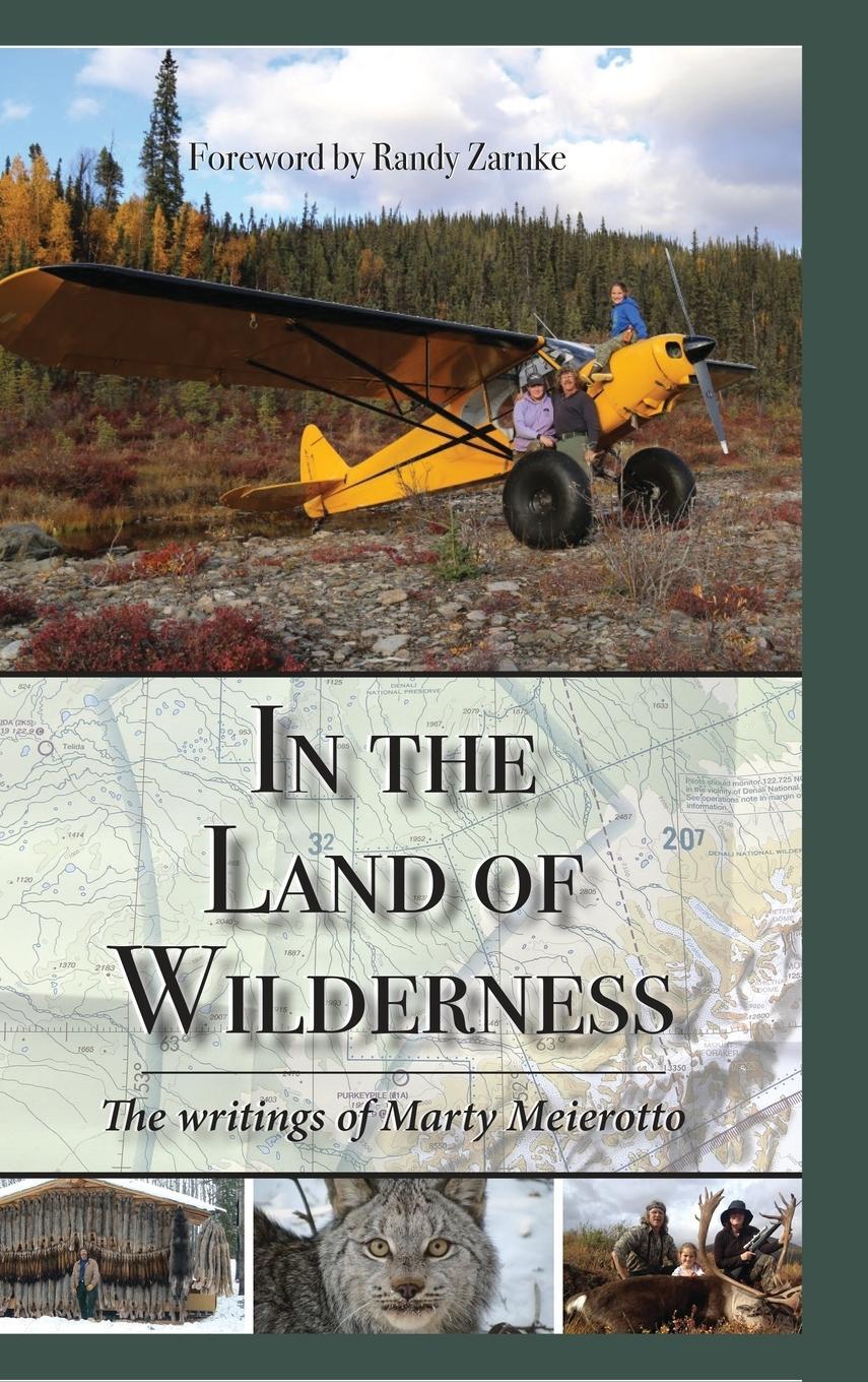 Cover: 9781637470435 | In the Land of Wilderness | The writings of Marty Meierotto | Buch