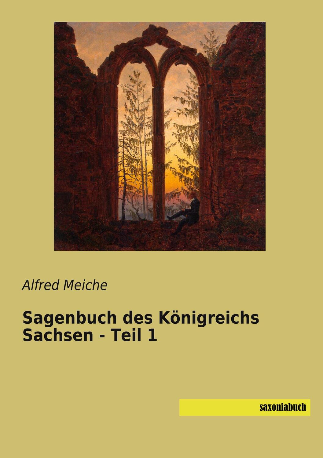 Cover: 9783957707055 | Sagenbuch des Königreichs Sachsen - Teil 1 | Alfred Meiche | Buch