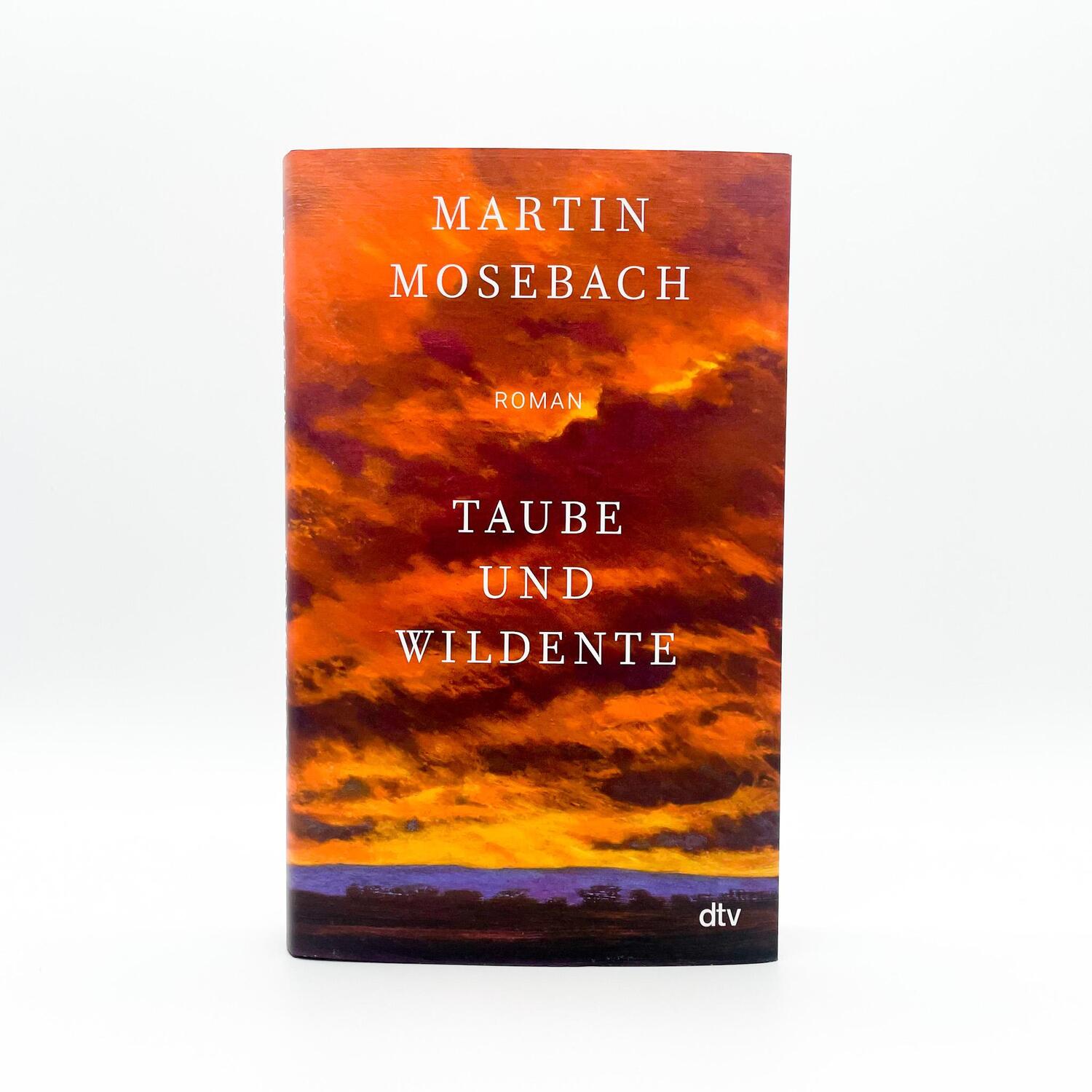 Bild: 9783423280006 | Taube und Wildente | Martin Mosebach | Buch | 336 S. | Deutsch | 2022