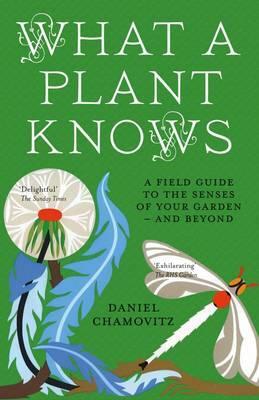 Cover: 9781851689705 | What a Plant Knows | Daniel Chamovitz | Taschenbuch | 224 S. | 2013