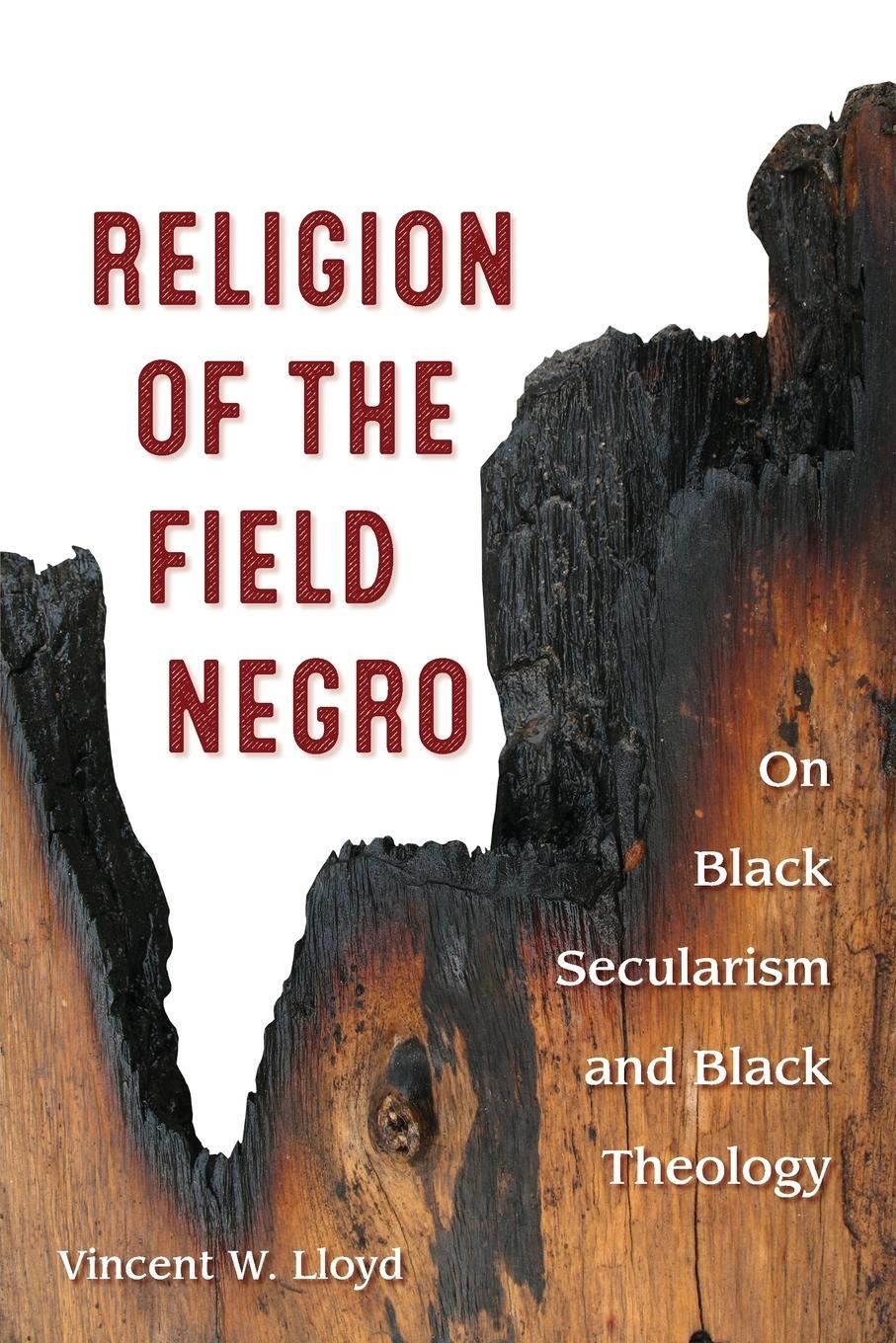 Cover: 9780823277643 | Religion of the Field Negro | On Black Secularism and Black Theology