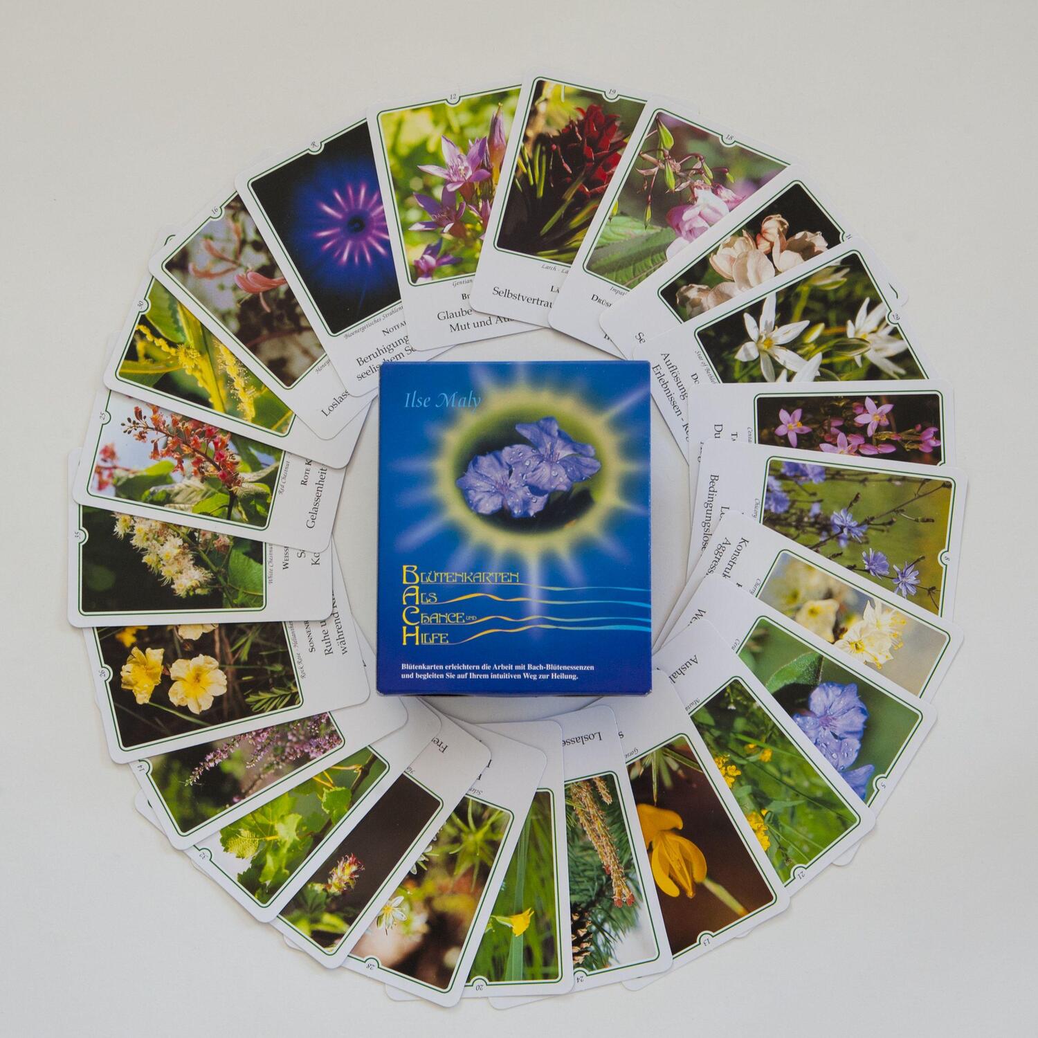 Cover: 9783950008210 | Bachblüten-Karten. Blütenkarten als Chance und Hilfe | Ilse Maly | Box