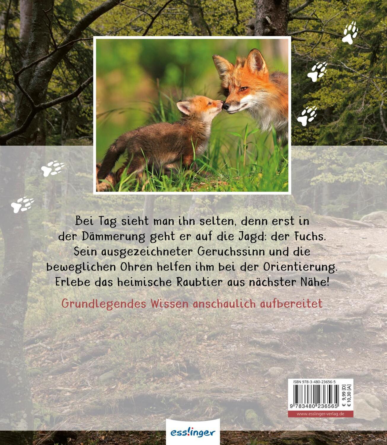 Rückseite: 9783480236565 | Meine große Tierbibliothek: Der Fuchs | Christian Havard | Buch | 2020
