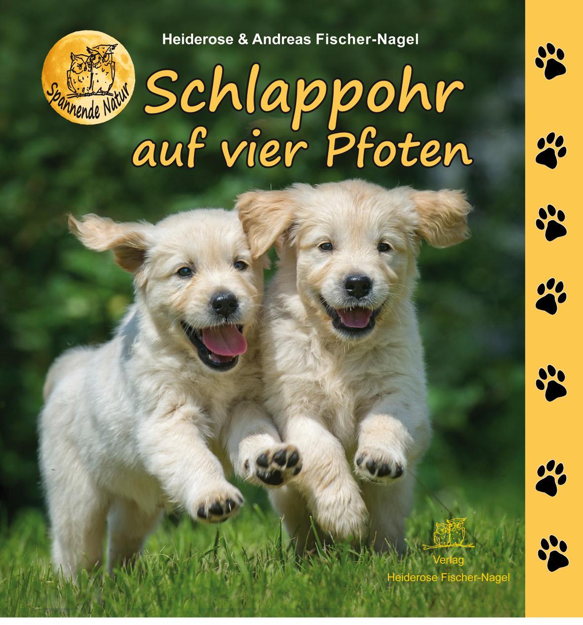 Cover: 9783949939020 | Schlappohr auf vier Pfoten | Heiderose Fischer-Nagel (u. a.) | Buch