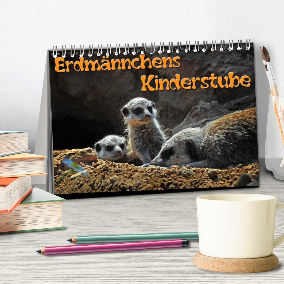 Bild: 9783435592203 | Erdmännchens Kinderstube (Tischkalender 2025 DIN A5 quer), CALVENDO...