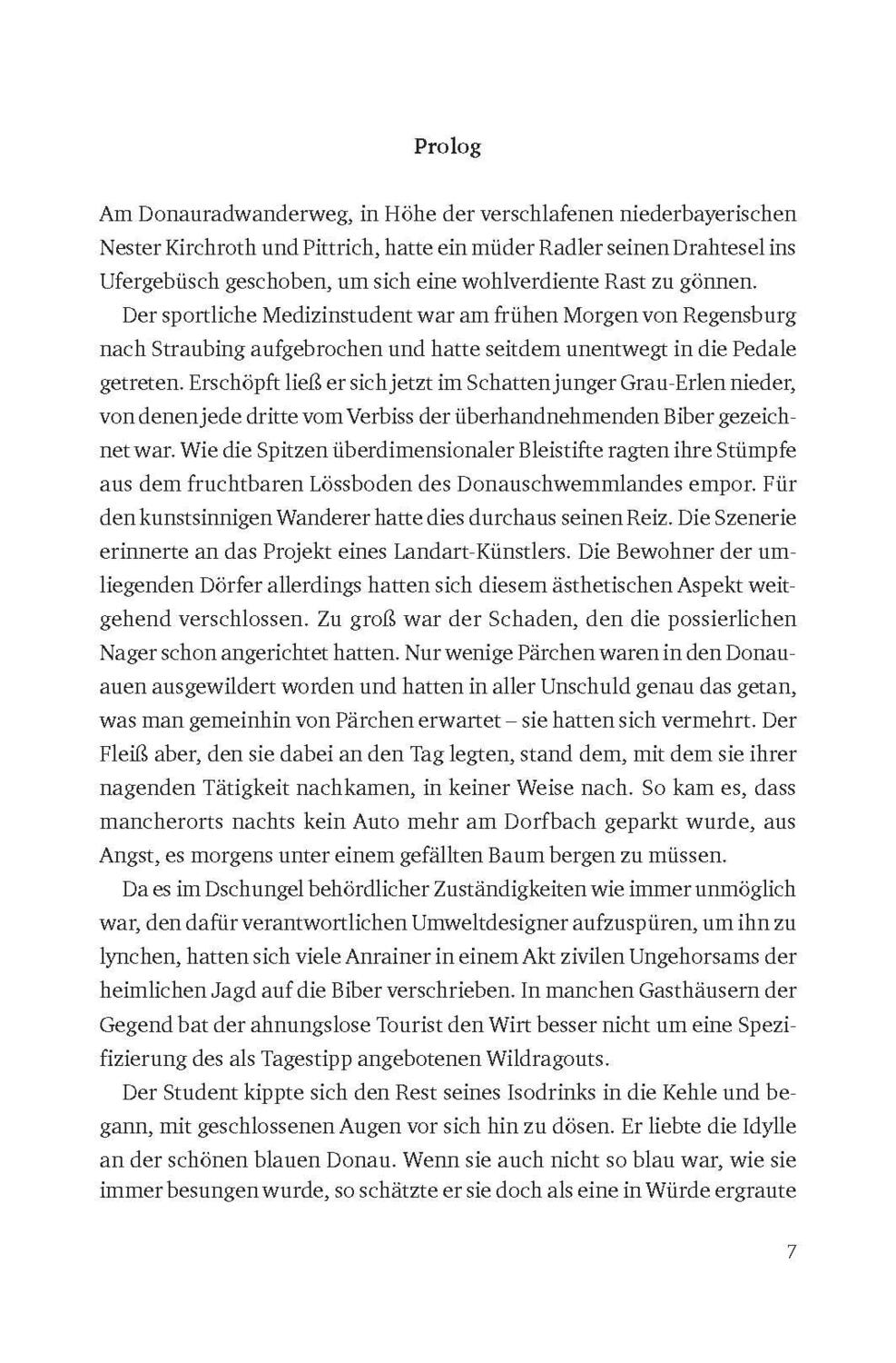 Bild: 9783866467750 | Gäubodengschwerl | Hugo Nefe | Taschenbuch | 290 S. | Deutsch | 2017